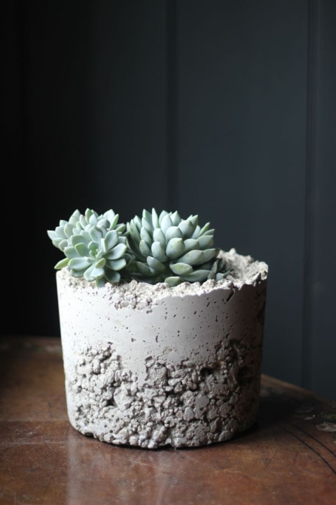 DIY concrete planter Growing Spaces blog